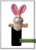 Bunny Mini