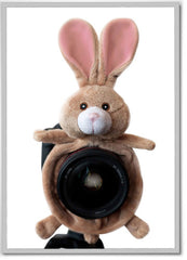 Bunny Shutter Hugger