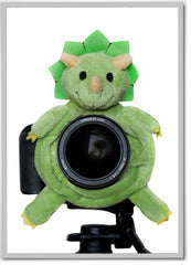 Dinosaur Shutter Hugger