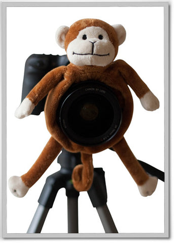 Monkey Shutter Hugger